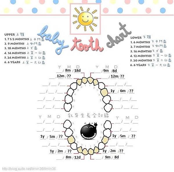 Tooth Chart-Zhen-18m