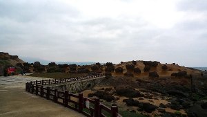 P1100796-2.JPG