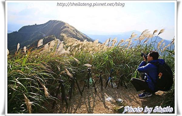 東北角芒花31.JPG