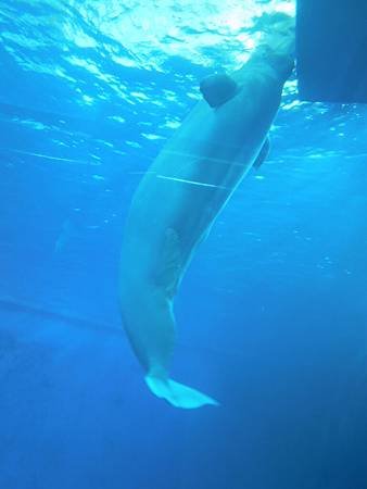 屏東縣國立海洋生物博物館 