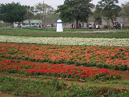 大溪花園農場3.jpg