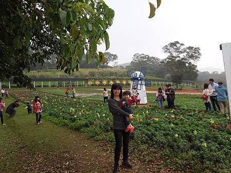 大溪花園農場9.jpg