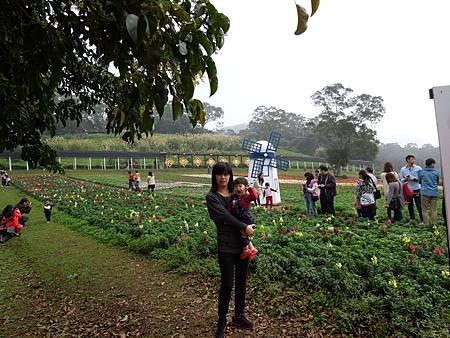 大溪花園農場10.jpg