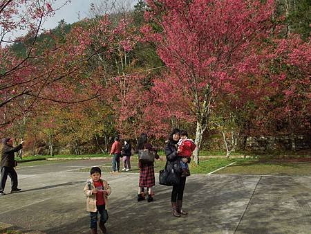 2014.3.1 035.jpg