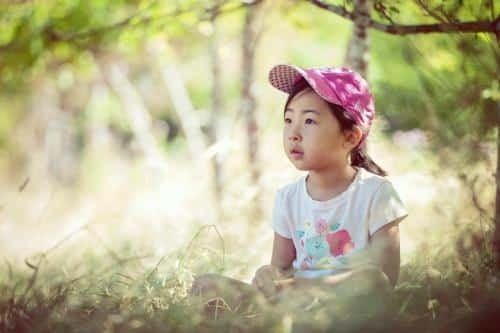 2025 UBC 森林奇觀 Forest Wonders  
