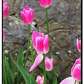 nEO_IMG_IMG_3257.jpg