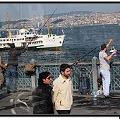 nEO_IMG_IMG_3552.jpg