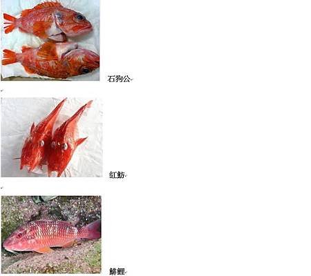 馬賽魚湯材料.jpg