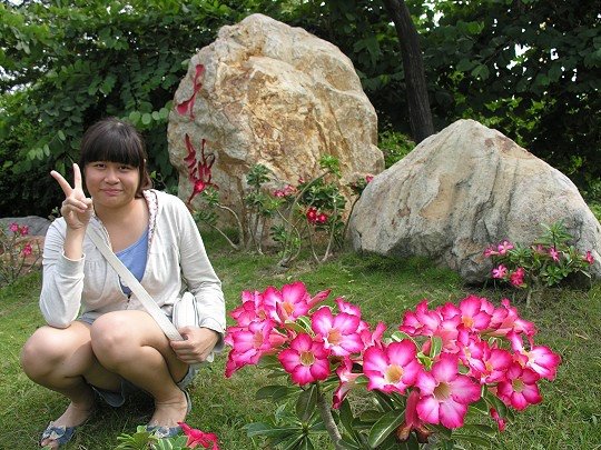 019.jpg