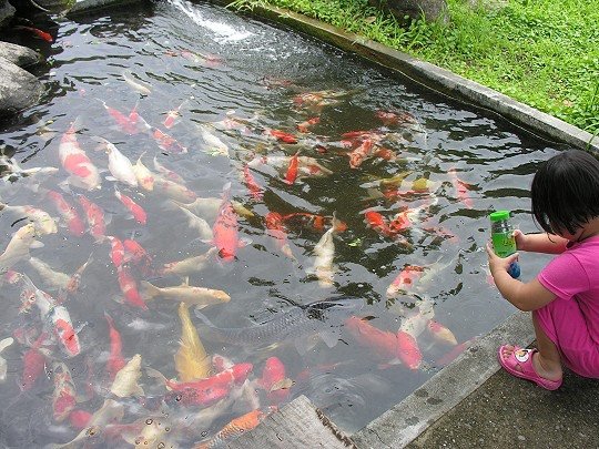 020.jpg