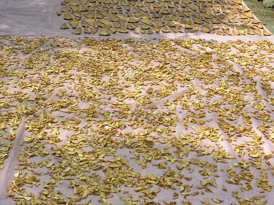 066.jpg