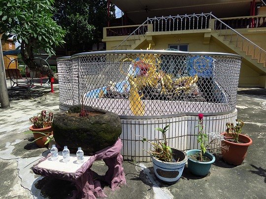 044.jpg