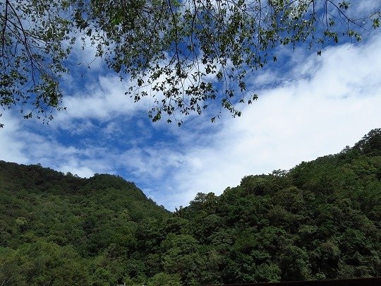 010.jpg