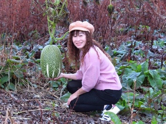 029.jpg