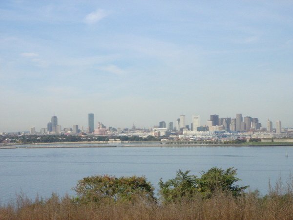 Boston Skyline