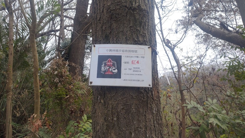 P_20230408_112148.jpg