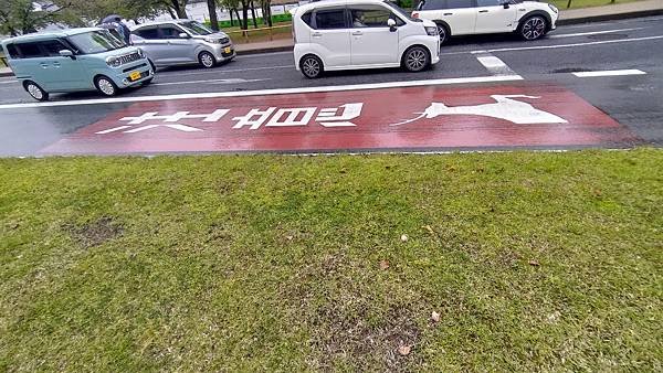 P_20230415_092226.jpg