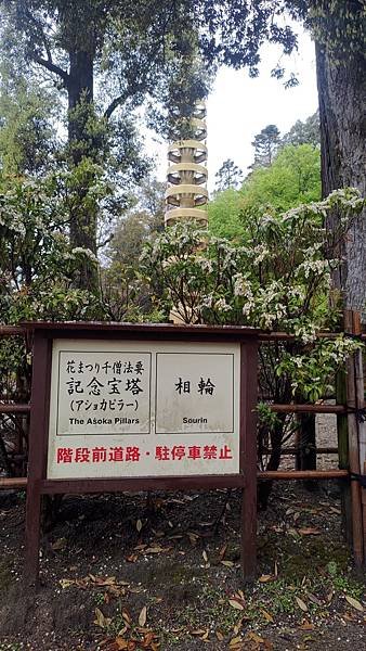 P_20230415_103113.jpg