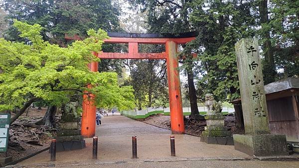 P_20230415_103129.jpg