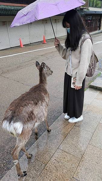 P_20230415_110938-1.jpg
