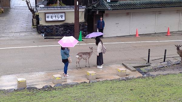P_20230415_110938.jpg
