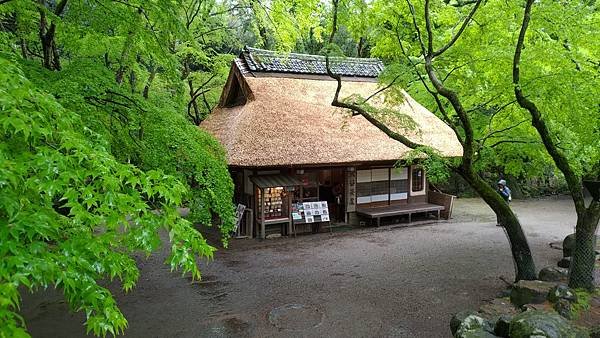 P_20230415_111350.jpg