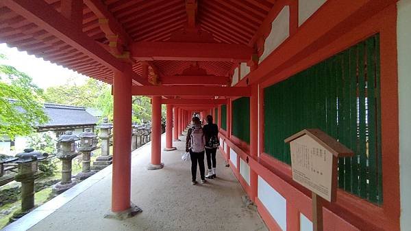 P_20230415_121308.jpg