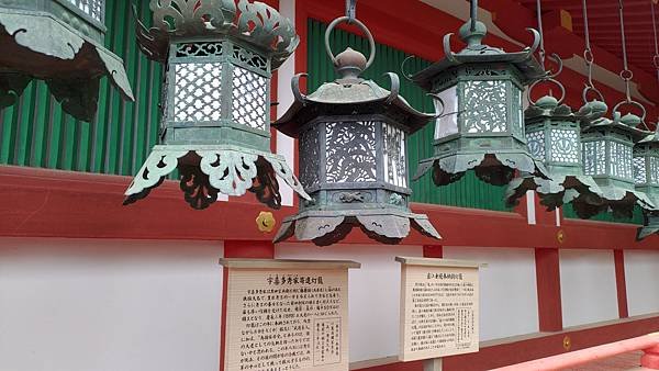 P_20230415_122223.jpg