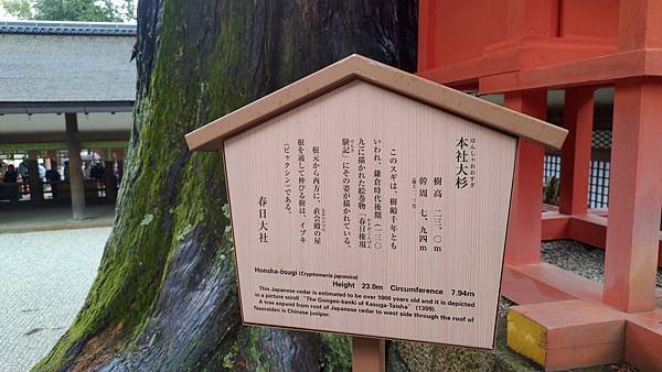 P_20230415_122929.jpg