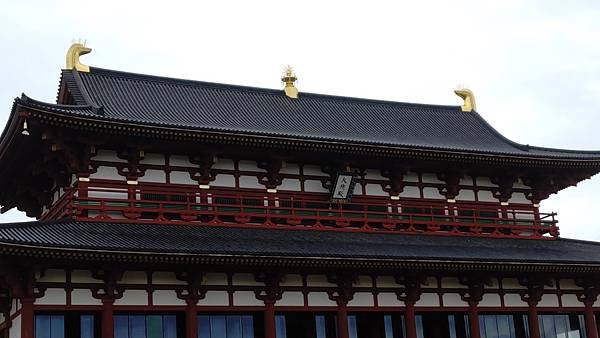P_20230415_141457.jpg