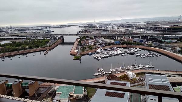 P_20230415_174113.jpg