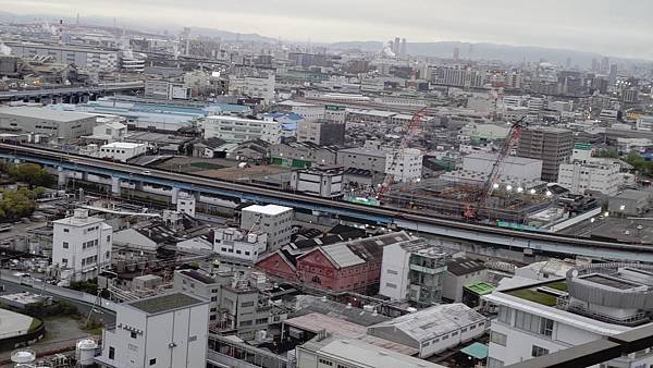 P_20230415_174159.jpg