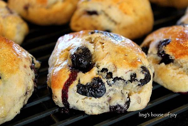 blueberry scone 1