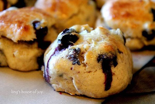 blueberry scone 3