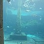 DSC02761.JPG
