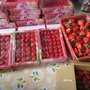 DSC01750.JPG