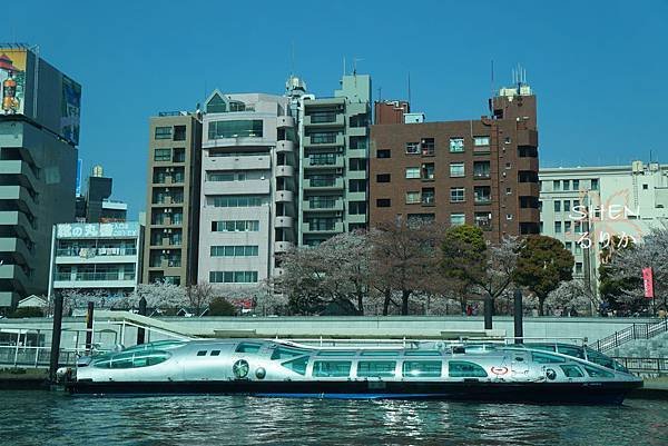 DSC00780.jpg