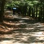 IMG_1193.JPG