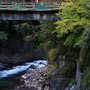 IMG_1141.JPG
