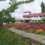 IMG_3365.JPG