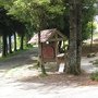 IMG_3379.JPG