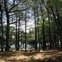 IMG_3388.JPG