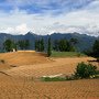 IMG_9560.JPG