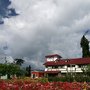 IMG_9589.JPG