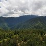 IMG_9639.jpg