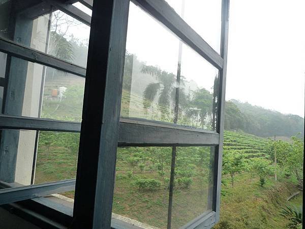 P1150754.jpg