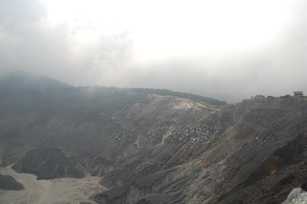 DSC_0449.JPG