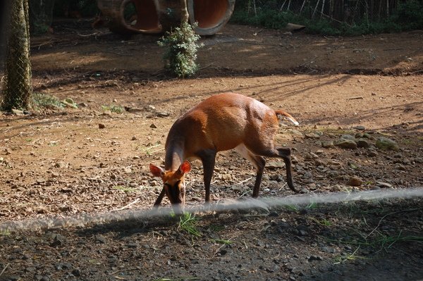 DSC_0046.JPG
