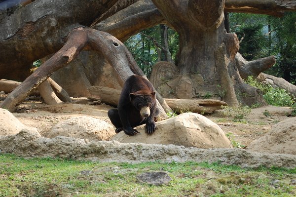 DSC_0078.JPG