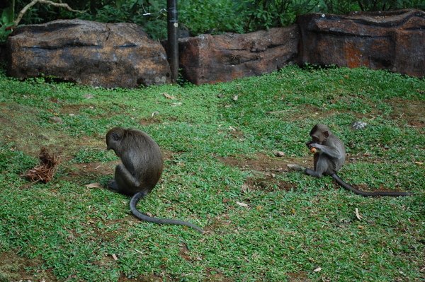 DSC_0103.JPG